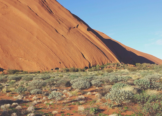 自动发卡秒发的ip攻击器网页版ddos